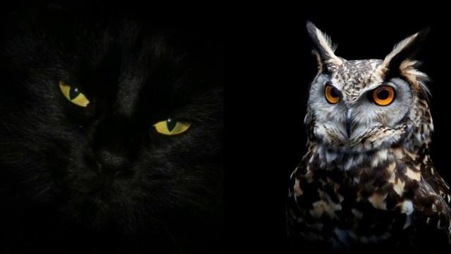 Загадка Нового Года.3 часть. смотреть онлайн