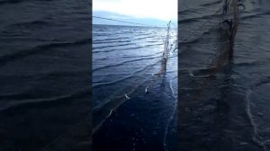 Рыбалка. Дары Белого моря. Рыбалка на Белом море.