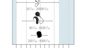 Кохлеарная имплантация. Звуки какой частоты слышно в кохлеарном импланте