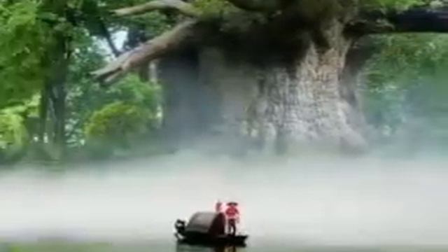 30 Min. Flute Music for Meditation l Flute Music for Sleep l Flute Music смотреть онлайн