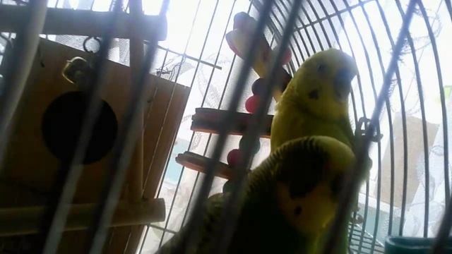 Project Анекдоты 11 смотреть онлайн