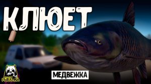 RF4 ТУТ МОЖЕТ КЛЮНУТЬ ТАКОЕ И НЕ ТОЛЬКО #рр4