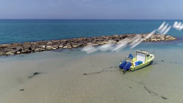 blue flag beaches смотреть онлайн