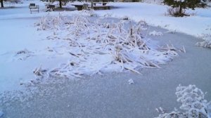 Родные просторы2022