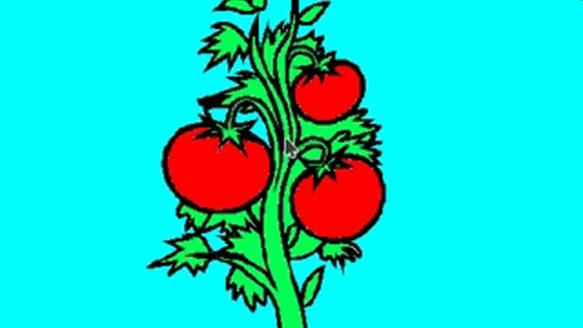 Новый мульт-урок Алексея Гусева. Как правильно поливать помидоры? смотреть онлайн