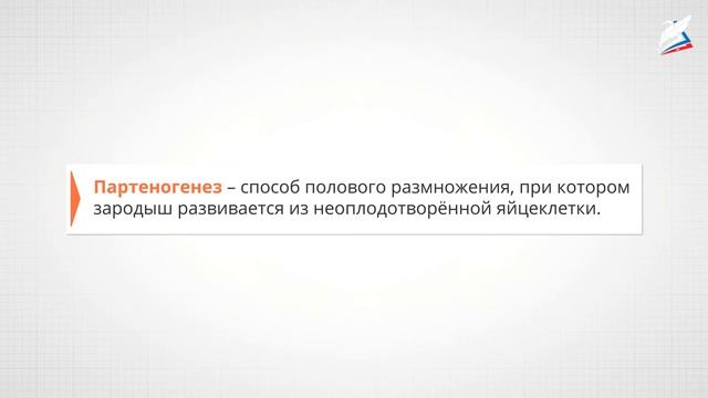 Бесполое и половое размножение. Жизненные циклы разных групп организмов