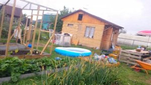 парник из стрейч пленки своими руками .