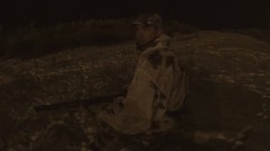 охота на зайца ночью на жировке