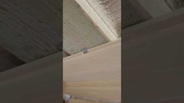 Крепим вагонку.Гвозди или саморезы? смотреть онлайн