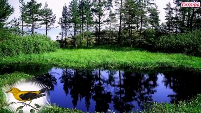 ИВОЛГА исп Тамара Козлова смотреть онлайн