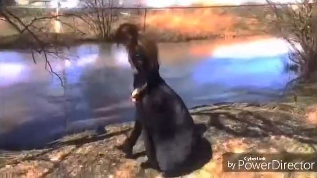 автор: Окирилова смотреть онлайн