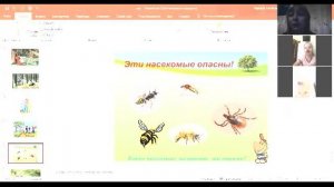 Занятие по ОБЖ с детьми 6 - 7 лет "Правила поведения в лесу летом" (воспитатель Скорева Н.В.)