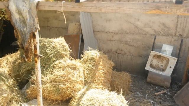 Заготовка соломы ! смотреть онлайн