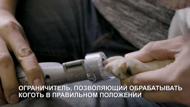 Набор для ухода за когтями домашних питомцев от Dremel смотреть онлайн