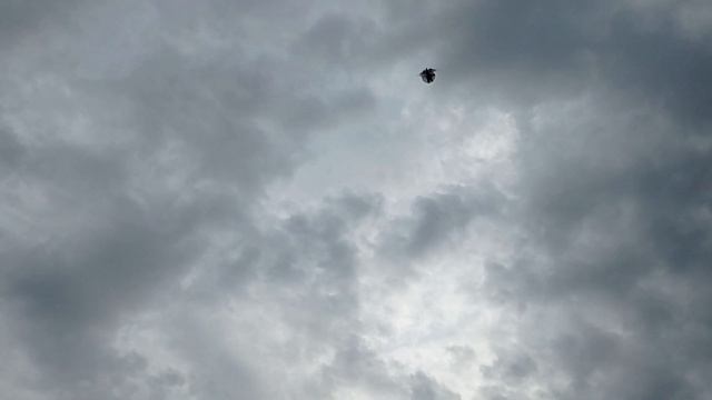 вечерняя разминка крыльев смотреть онлайн