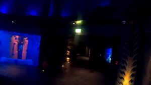 Дубай.Аквариум на пальме Джумейра.