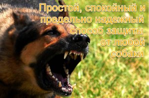 Спокойный, простой и надежный способ защиты от собак