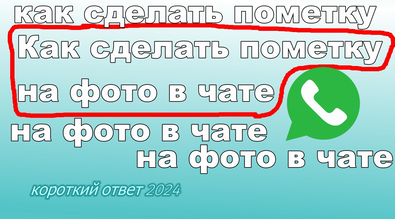 Как сделать пометку на фото в чате WatsApp