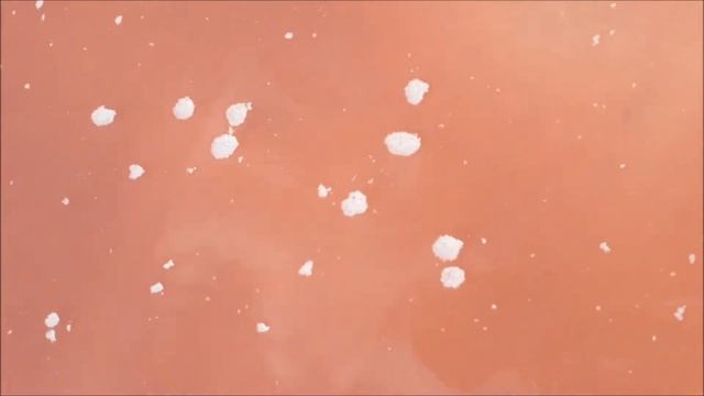 Розовое озеро Геническ Арабатская стрелка и классическая музыка Бетховен К Элизе смотреть онлайн