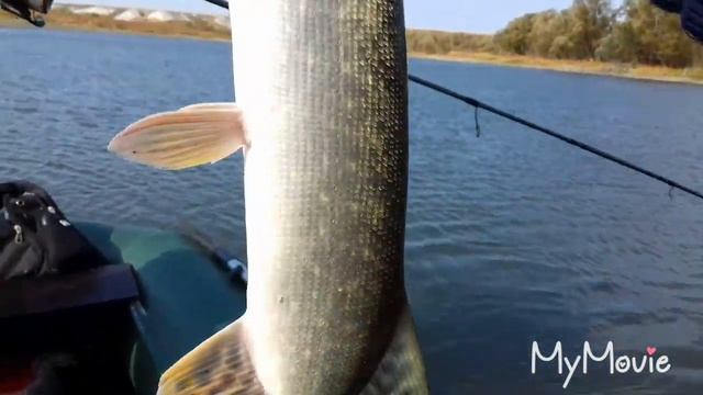 Рыбалка в окрестностях Волгограда 4.10.19. Часть 2. смотреть онлайн