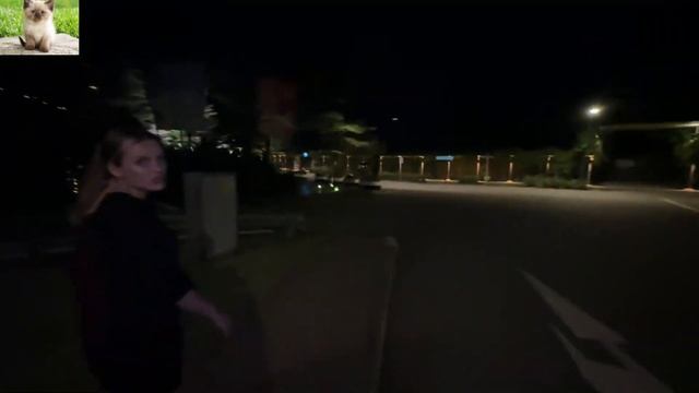 ПАРАДЕЕВИЧ И КАЯ КУПАЮТСЯ В СИНГАПУРЕ НОЧЬЮ | ПАРАДЕЕВИЧ ПОКАЗАЛ КВАРТИРУ В СИНГАПУРЕ смотреть онлайн