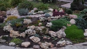 История создания каменистой горки. Garden design.