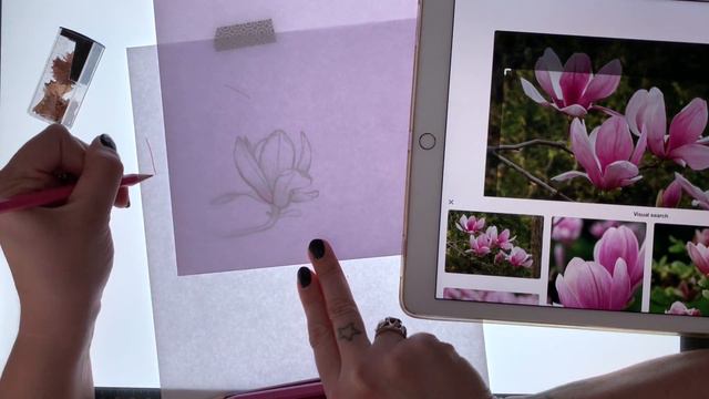 Floral series 001- Draw with me - Magnolia смотреть онлайн