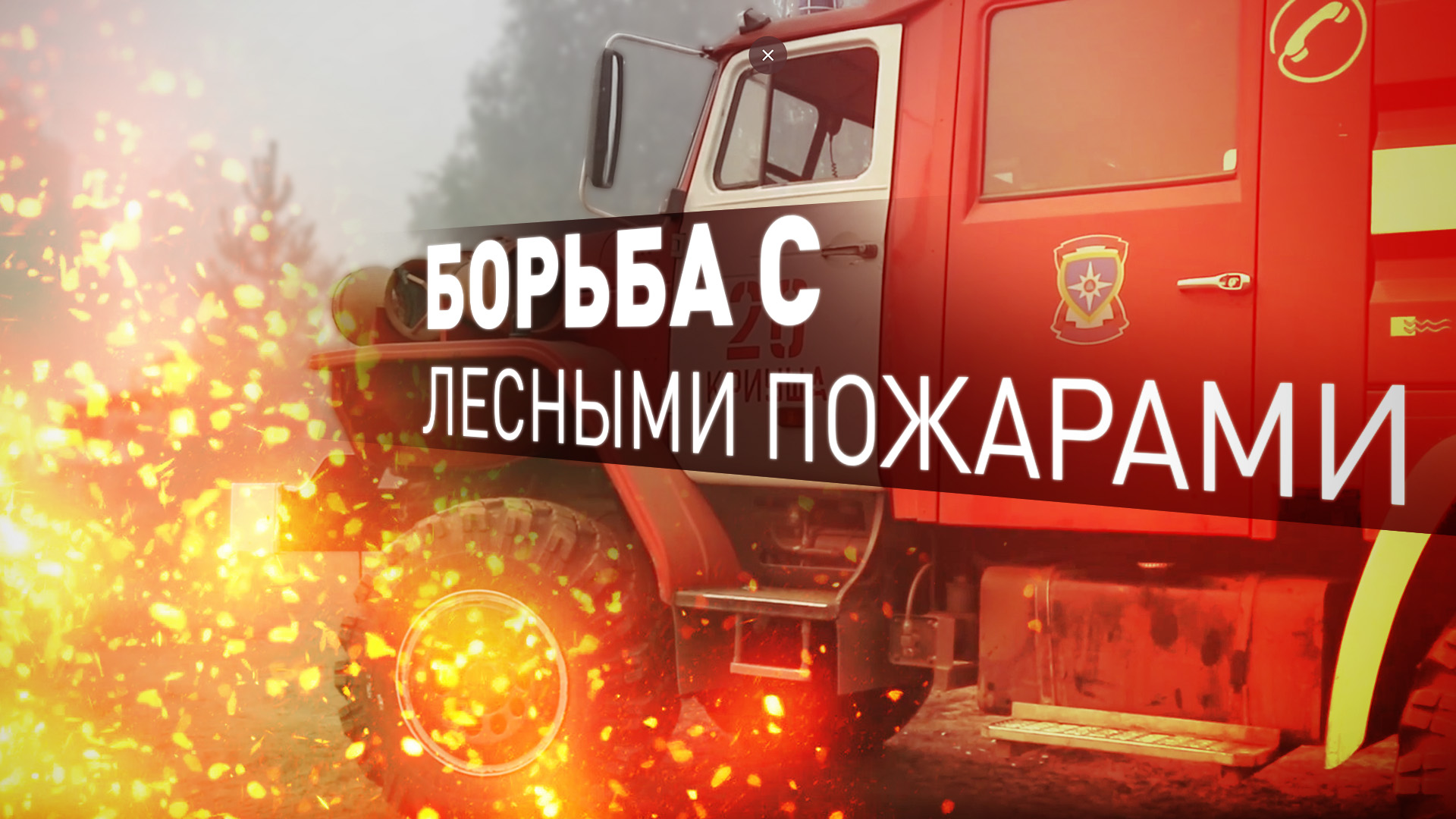Группировку сил для тушения пожаров в Рязанской области увеличили до 9600 человек