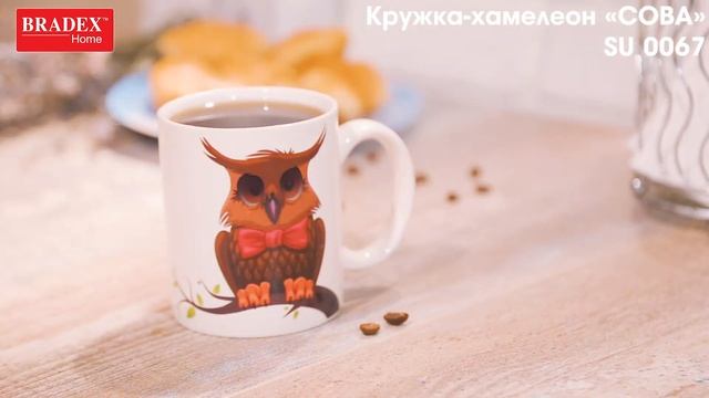 Bradex SU 0067 Кружка-хамелеон «СОВА» смотреть онлайн