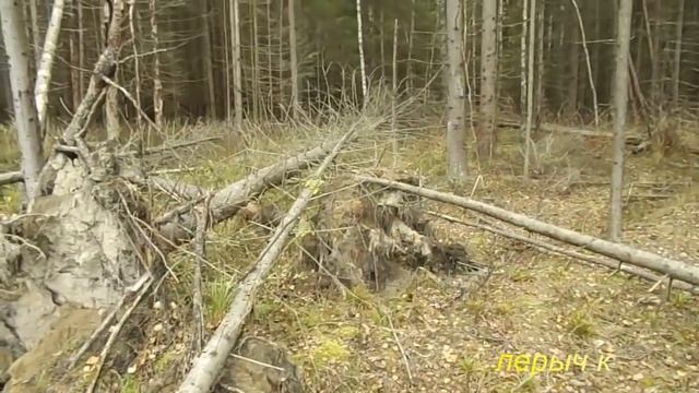 "Лесная мебель " Лавочка- вешалка. смотреть онлайн