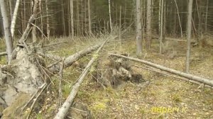 "Лесная мебель " Лавочка-  вешалка.