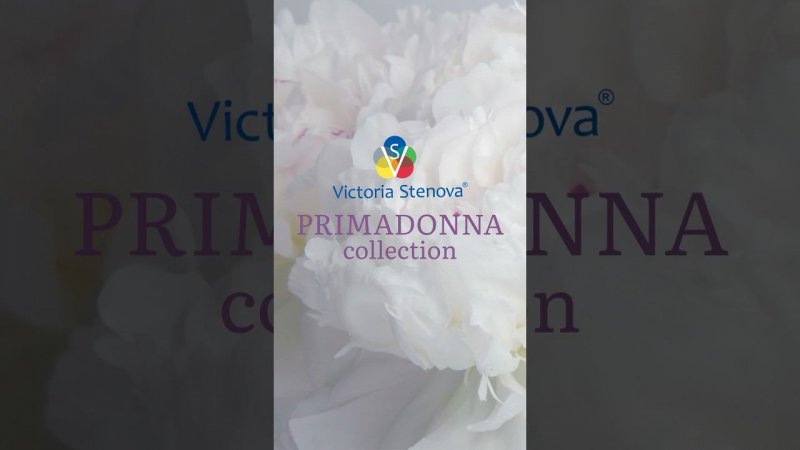 Коллекция обоев PRIMADONNA от Victoria Stenova (Виктория Стенова) #interiordesign #обои