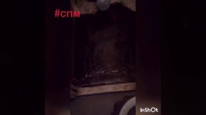 Крутой пол под мрамор ! Цвет понравился!