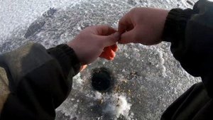 Ловля Плотвы на Вымя и покаток с секретом. Рыбалка на плотва зимой в Глухозимье.