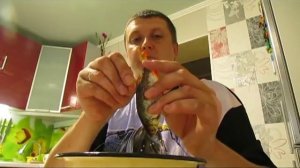 Сушилка для рыбы своими руками + как правильно  сушить рыбу