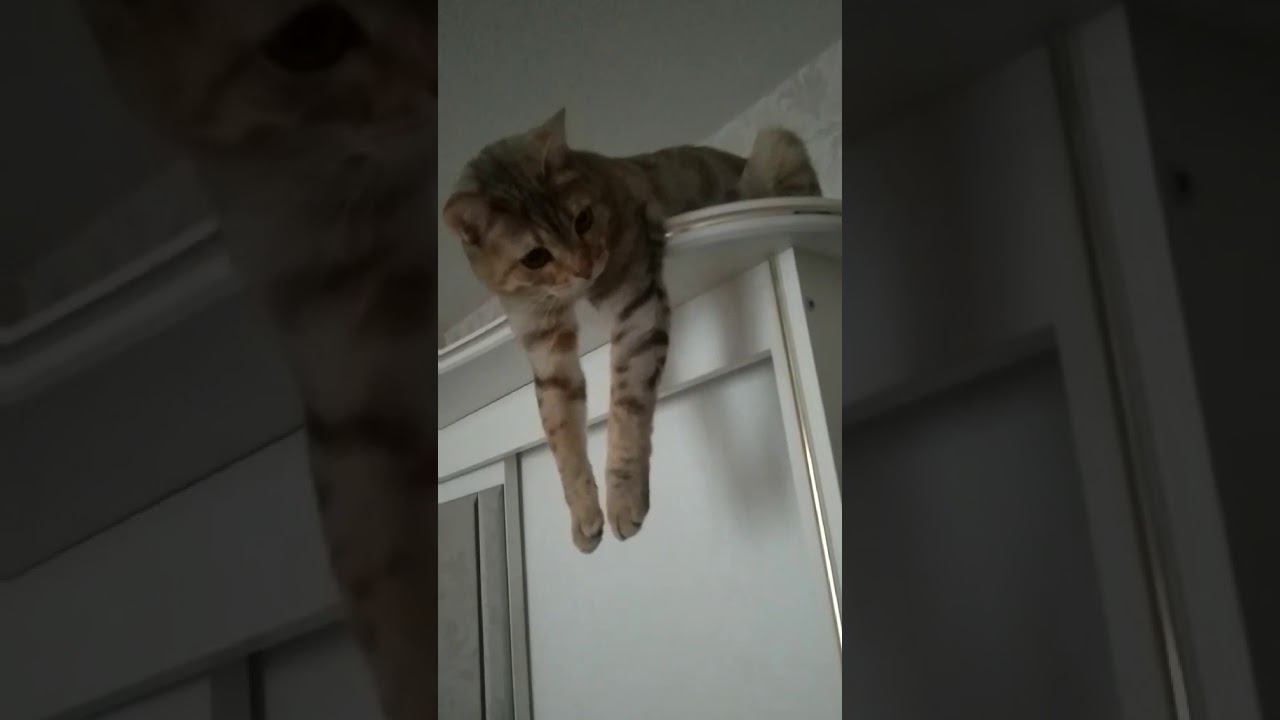 28 марта 2020 г. смотреть онлайн