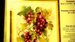 Виноградная Лоза от РИОЛИС закончена!