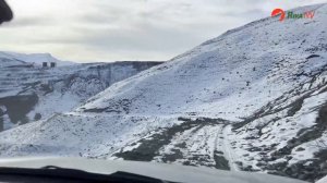 Охота на волка на вабу. Стая волков загрызла два жеребенка.Выстрел на 350 метров по бегущему. #охот