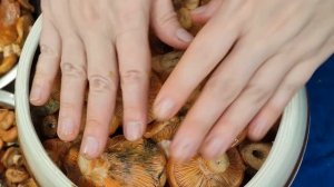 ГРИБЫ СОЛЁНЫЕ. САМЫЙ ПРОСТОЙ И ПОЛЕЗНЫЙ СПОСОБ .
