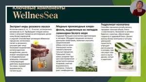 ПРЕЗЕНТАЦИЯ НОВИНКИ УХОДОВОЙ КОСМЕТИКИ Wellness  Sea арктический морей/ Siberian Wellness