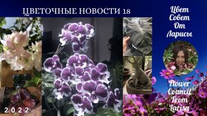 ЦВЕТОЧНЫЕ НОВОСТИ 18.mp4