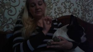 Как правильно выбрать щенка французского бульдога