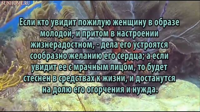 К чему снится Старуха сонник, толкование сна смотреть онлайн