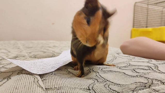 Английский