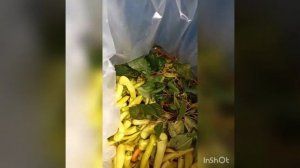 Солим на зиму перец ЦИЦАК