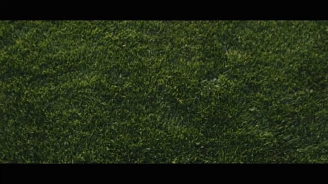 Усы надежды. Криштиану Роналду ждет в Саранске русская невеста, похудевшая на 90 кг смотреть онлайн