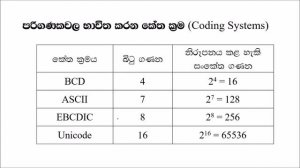 I Can ICT || Grade 12 || GIT EXAM|| NUMBER SYSTEMS