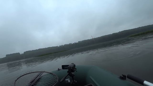 ЗАПЛЫЛА в КАМЫШЕВЫЙ РАЙ... и началось!!! САЗАНЫ на поплавок- ПЕРО! Рыбалка на сазана! смотреть онлайн