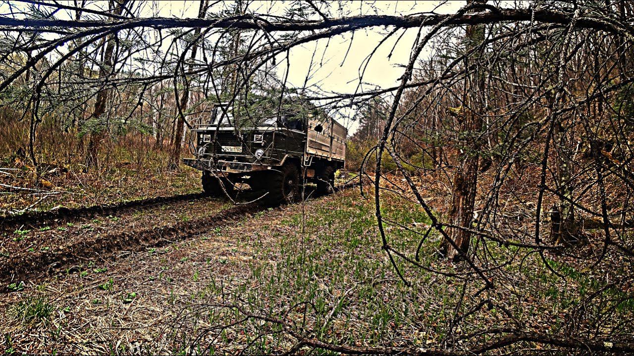 ПРОДОЛЖАЕМ СТРОИТЬ ИЗБУ НА НОВОМ УЧАСТКЕ В ТАЙГЕ. перевозка пчел, выезжаем с участка домой) смотреть онлайн