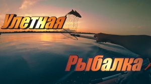 Коляныч рассказал - Я показал. Наловили рыбы полный садок. Улетная рыбалка